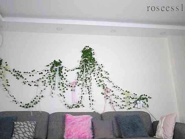 rosess_ webcam