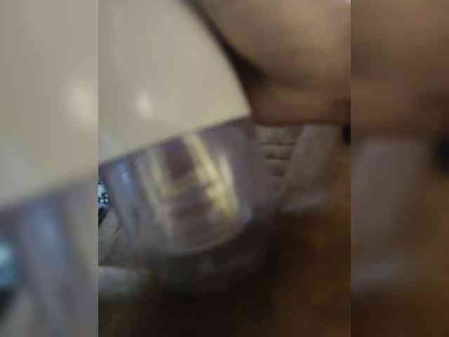 kyngytSLV1 kyngytSLV1