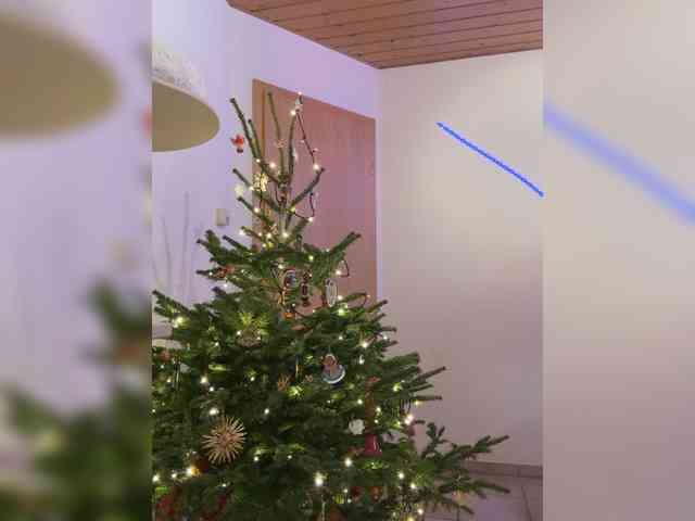 __ocean_soul__ webcam