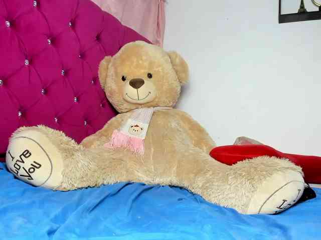 Ammyy-Brown webcam