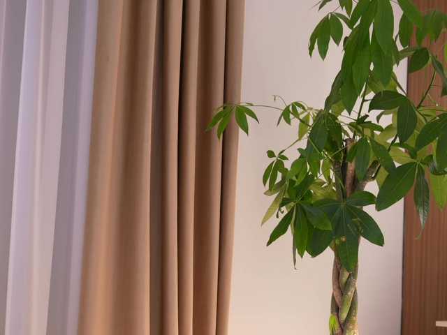 DorisCream's BongaCams show and profile