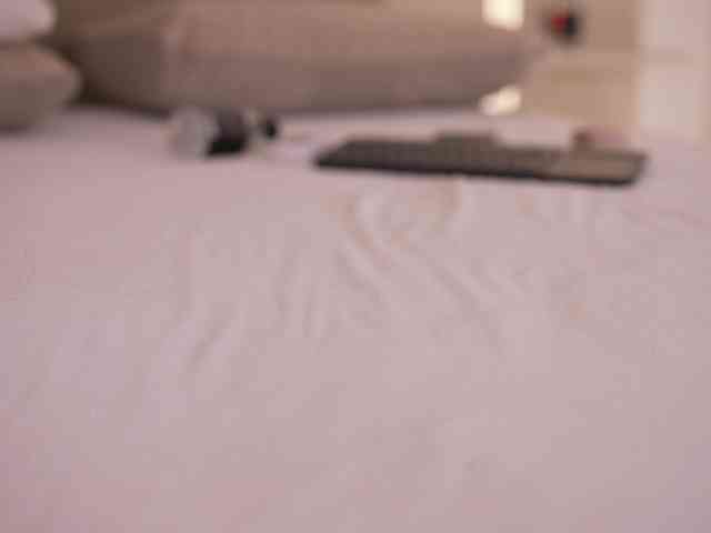 DorisCream webcam