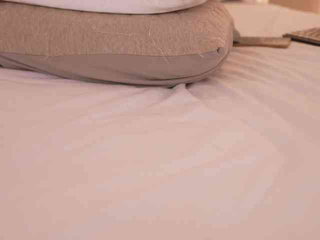 DorisCream webcam