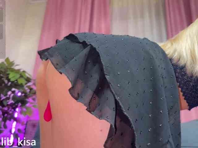 Модель: isilib_kisa