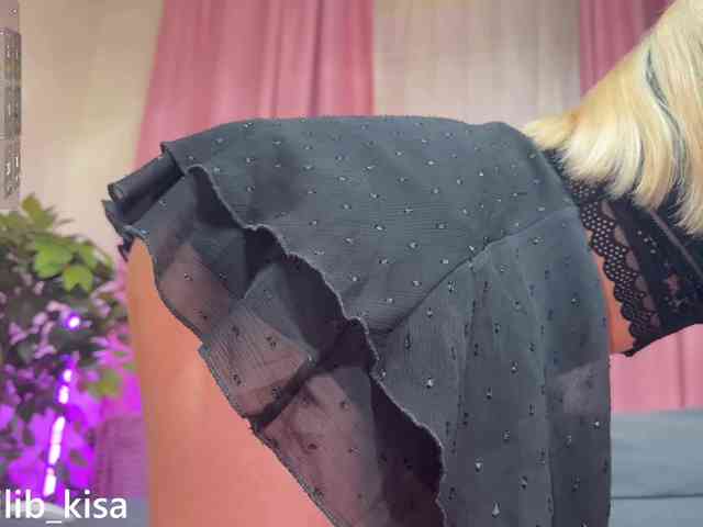 Модель: isilib_kisa