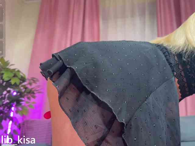 Модель: isilib_kisa