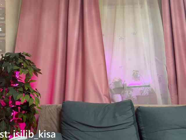 Isilib_kisa webcam