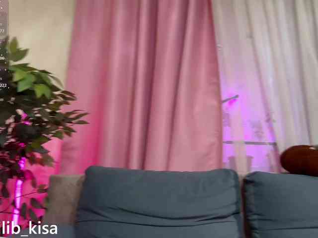 Isilib_kisa webcam