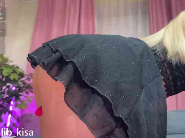 Модель: isilib_kisa