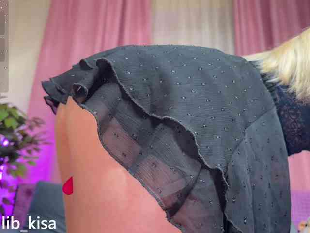 Модель: isilib_kisa