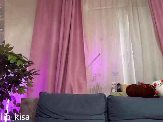 Isilib_kisa webcam