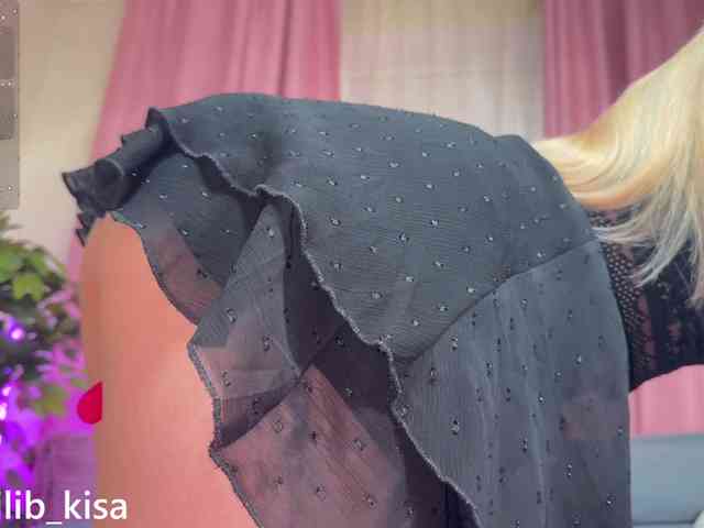 Модель: isilib_kisa
