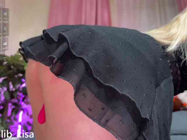 Isilib_kisa webcam