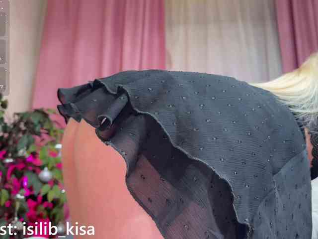 Isilib_kisa webcam
