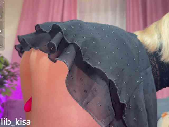 Модель: isilib_kisa