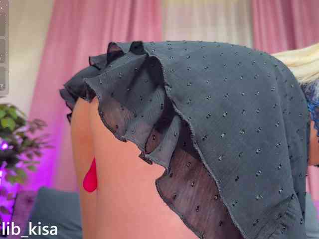 Модель: isilib_kisa