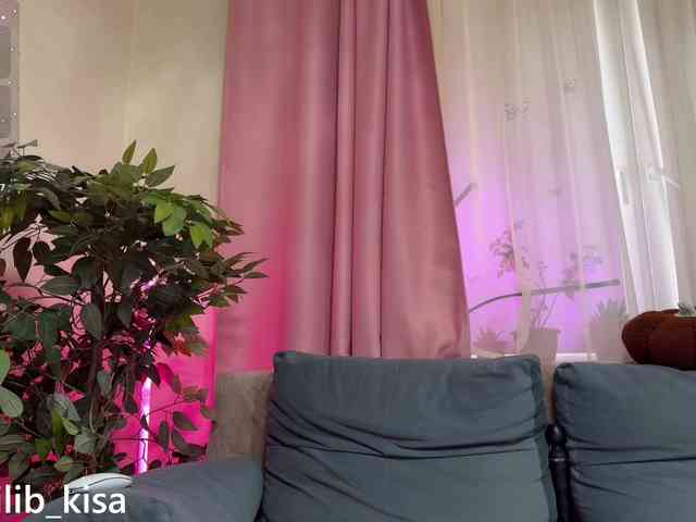 Isilib_kisa webcam