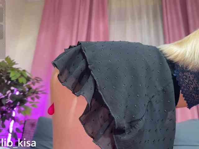 Модель: isilib_kisa