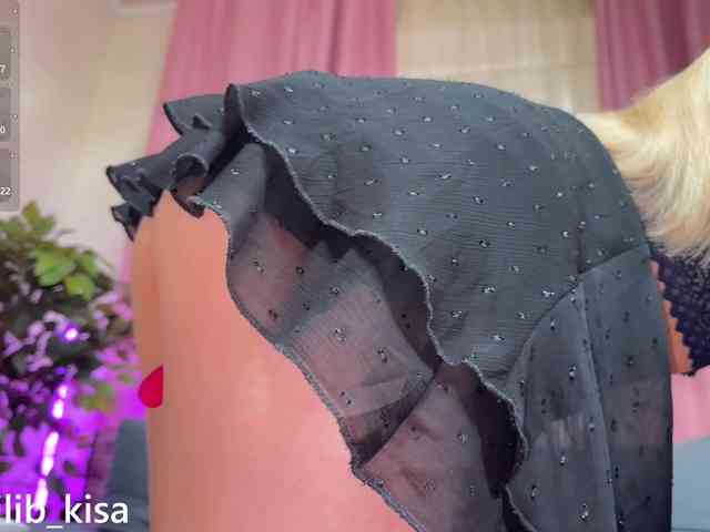 Модель: isilib_kisa