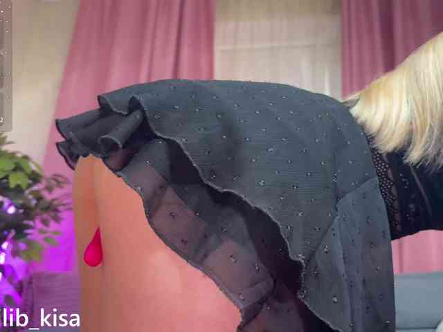Модель: isilib_kisa