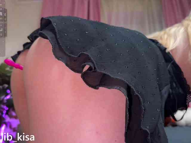 Isilib_kisa webcam