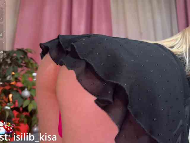 Isilib_kisa webcam