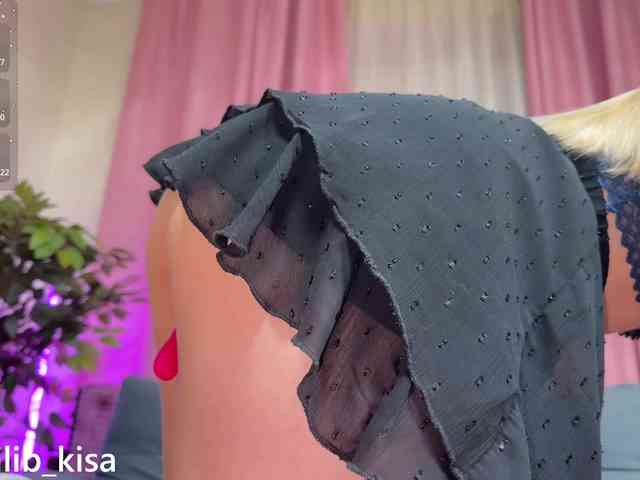 Модель: isilib_kisa