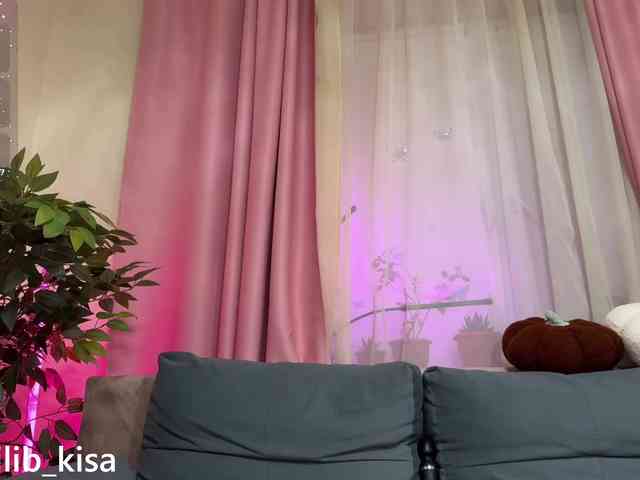 Isilib_kisa webcam