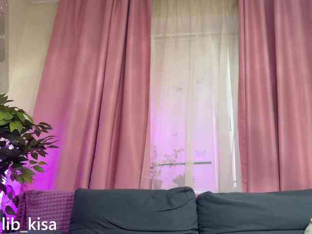 Модель: isilib_kisa