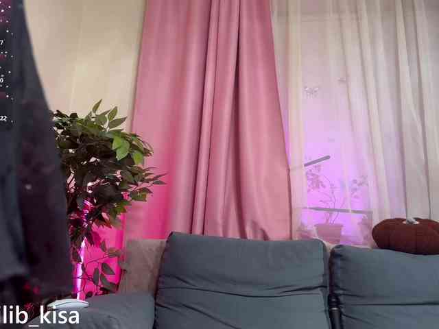 Isilib_kisa webcam