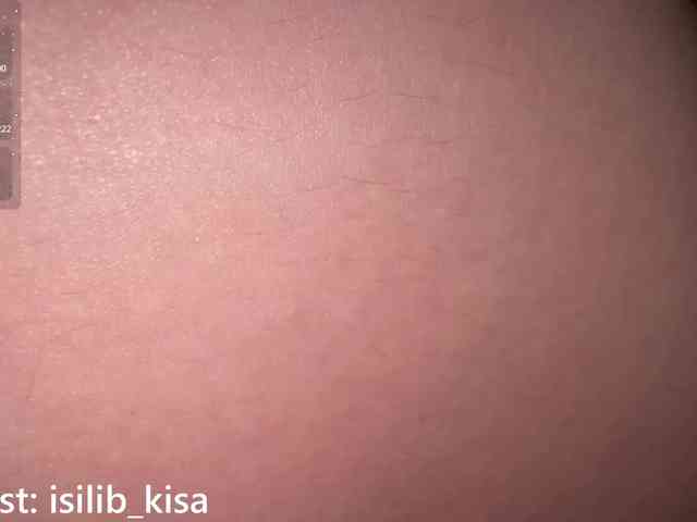 Isilib_kisa webcam