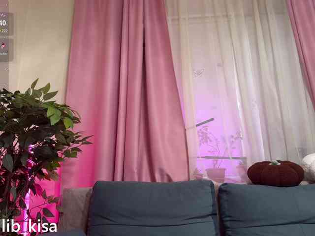 Isilib_kisa webcam