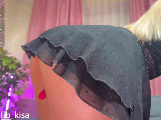 Модель: isilib_kisa