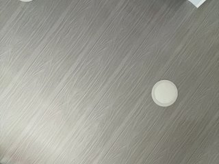 MaddisonWelch Porn Show