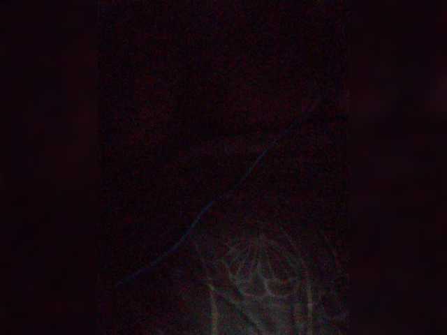 Preview of maddisonwelch