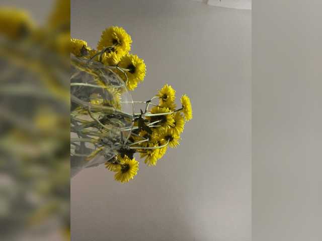 Preview of maddisonwelch