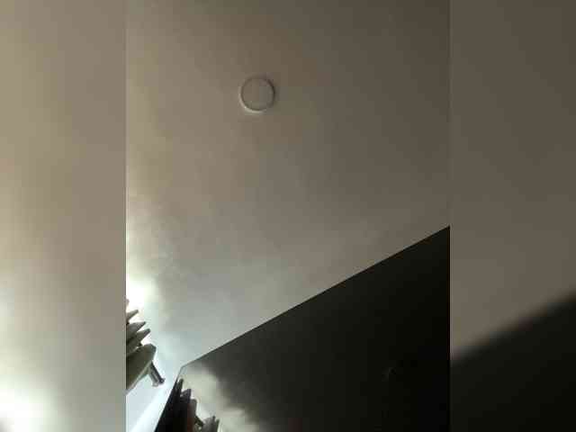 MaddisonWelch webcam