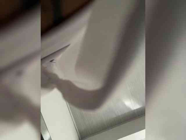 MaddisonWelch webcam