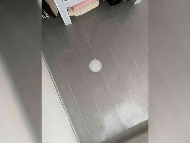 MaddisonWelch webcam