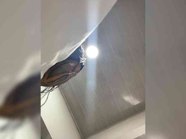 MaddisonWelch webcam