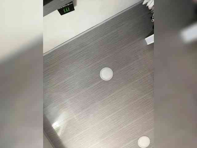 MaddisonWelch webcam