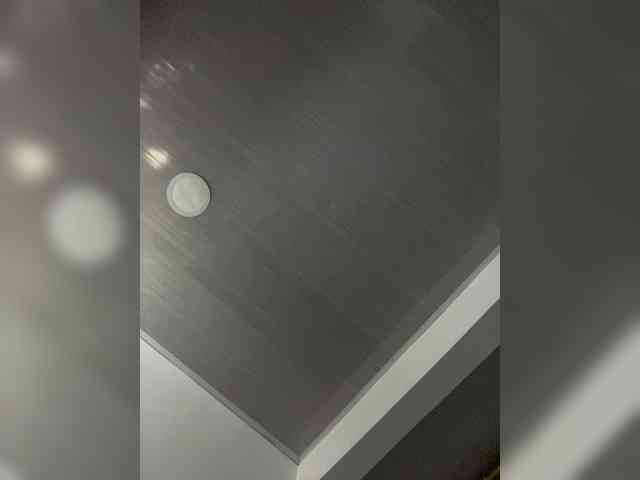 MaddisonWelch webcam