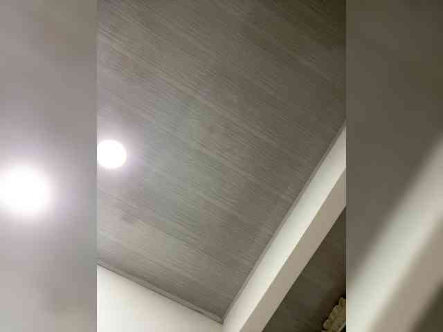 MaddisonWelch webcam