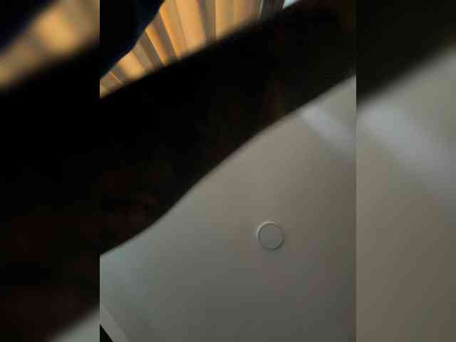 MaddisonWelch webcam