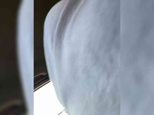 MaddisonWelch webcam