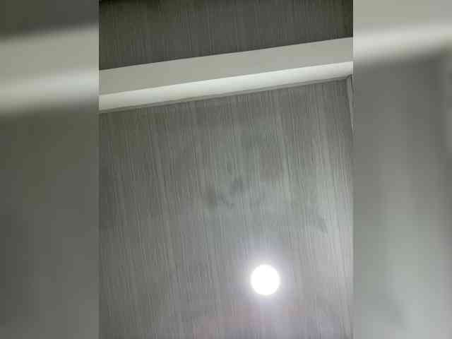 MaddisonWelch MaddisonWelch