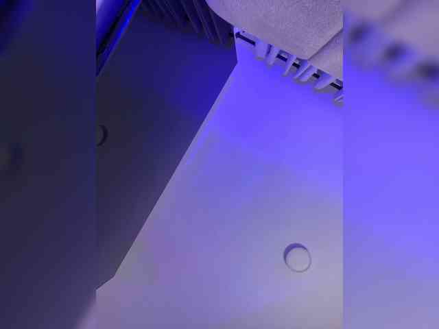 MaddisonWelch webcam