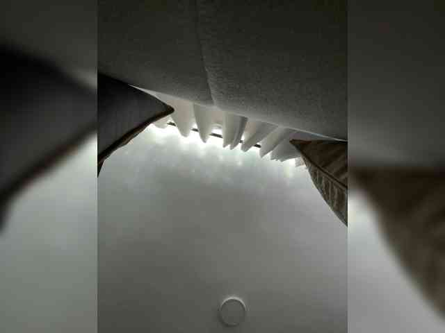 MaddisonWelch webcam