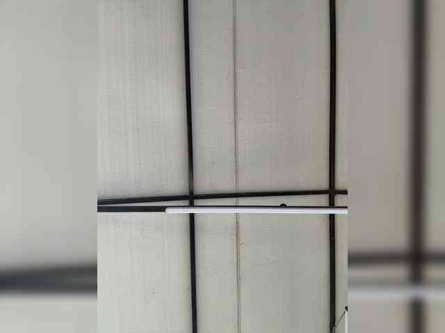 MaddisonWelch webcam