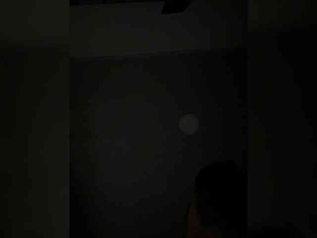 MaddisonWelch webcam